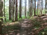 Trail near our campsite